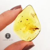 Natural Amber Wave Shape Stone With Insects